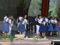 1-sfs (33)
